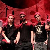 Viper - List pictures