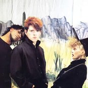 Thompson Twins - List pictures