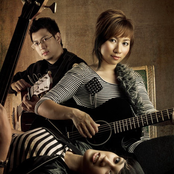 D'cinnamons - List pictures