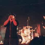 Brad - List pictures