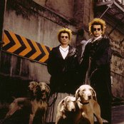 Pet Shop Boys - List pictures