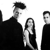 Crüxshadows - List pictures