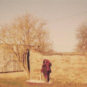 In Fields - List pictures