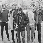 Foals - List pictures