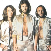 Bee Gees - List pictures