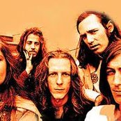 Big Brother And The Holding Company - List pictures