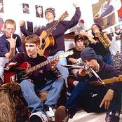 The Coral - List pictures