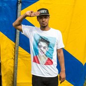 Raleigh Ritchie - List pictures