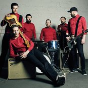 The Dogs - List pictures