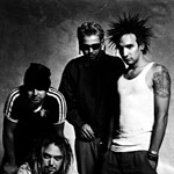 Soulfly - List pictures