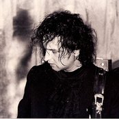 Big Electric Cat - List pictures