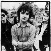 The Telescopes - List pictures