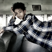 Willow - List pictures