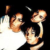 3t - List pictures