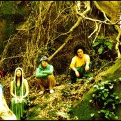 Bonobos - List pictures