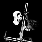 Nocturnal - List pictures