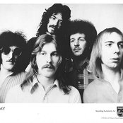 Sammy - List pictures