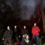 Scarling - List pictures