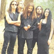 Sarcastic - List pictures