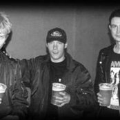 Vanilla Muffins - List pictures