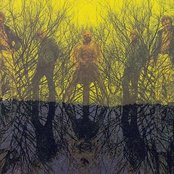 American Blues - List pictures