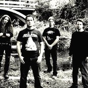 Augury - List pictures