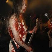 Bile - List pictures