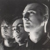 Molodoi - List pictures