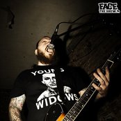 Coliseum - List pictures