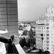 Robert Plant - List pictures