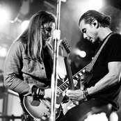 Bush - List pictures