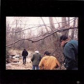 Emmet Swimming - List pictures