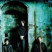 Vendetta Red - List pictures