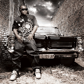 Gorilla Zoe - List pictures