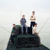 British Sea Power - List pictures