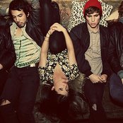 Kitten - List pictures