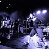 The Dingees - List pictures