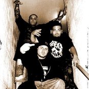 Bloodline - List pictures