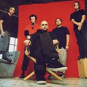 Cold - List pictures