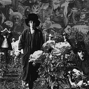 Tear Garden - List pictures