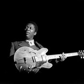 B.b. King - List pictures