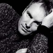 Sting - List pictures