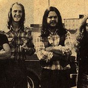 Budgie - List pictures