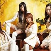 Cats - List pictures