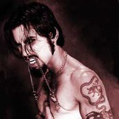 Dave Navarro - List pictures