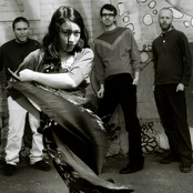 Little Dragon - List pictures