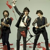 Jonas Brothers - List pictures
