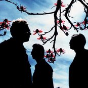 Depeche Mode - List pictures