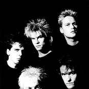 Toten Hosen - List pictures