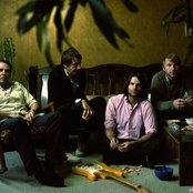 Violens - List pictures